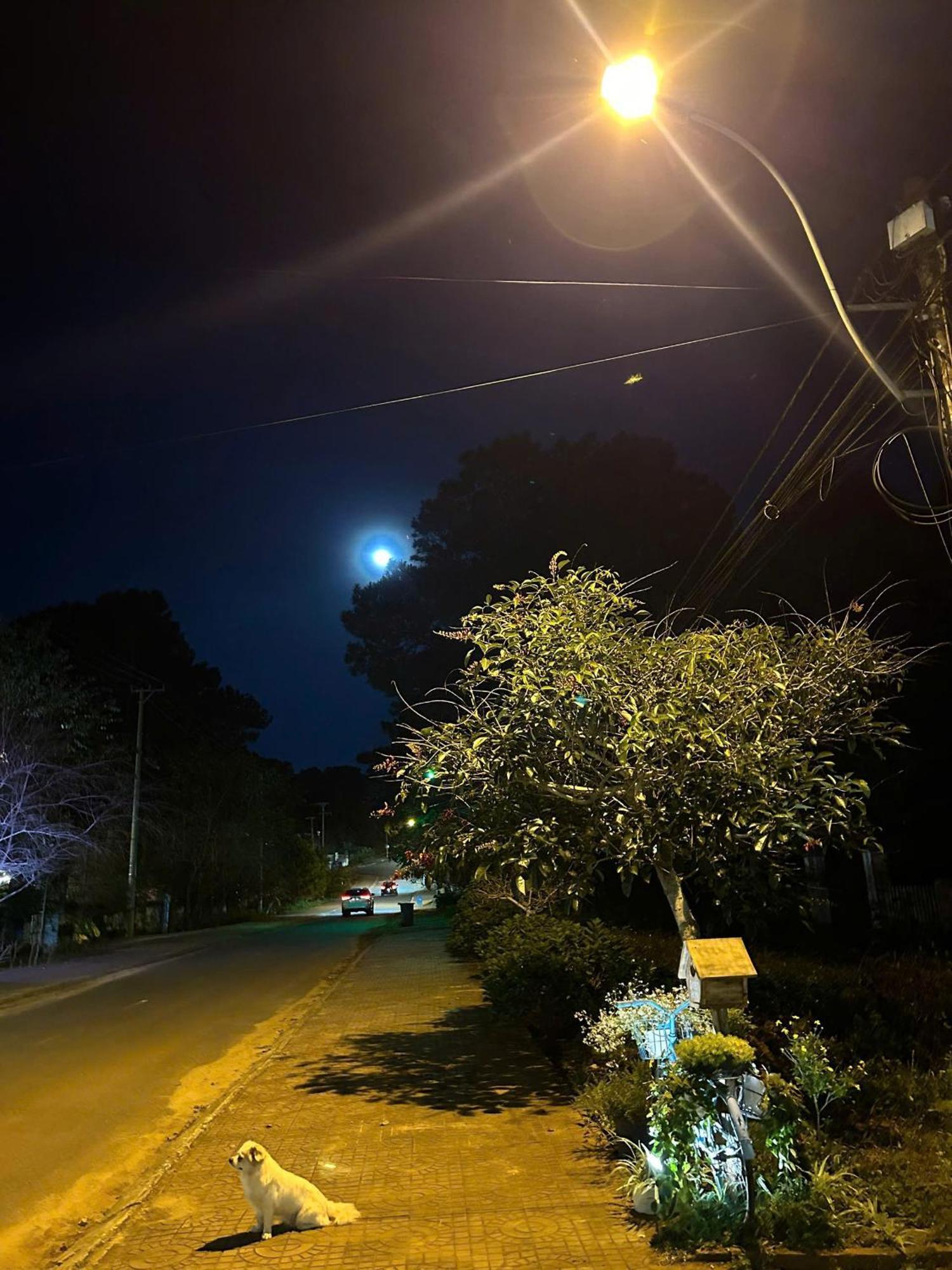 Chino Homestay Mang Den - Villa Tai Mang Den Tỉnh Kontum Екстериор снимка